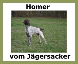 Homer vom Jägersacker