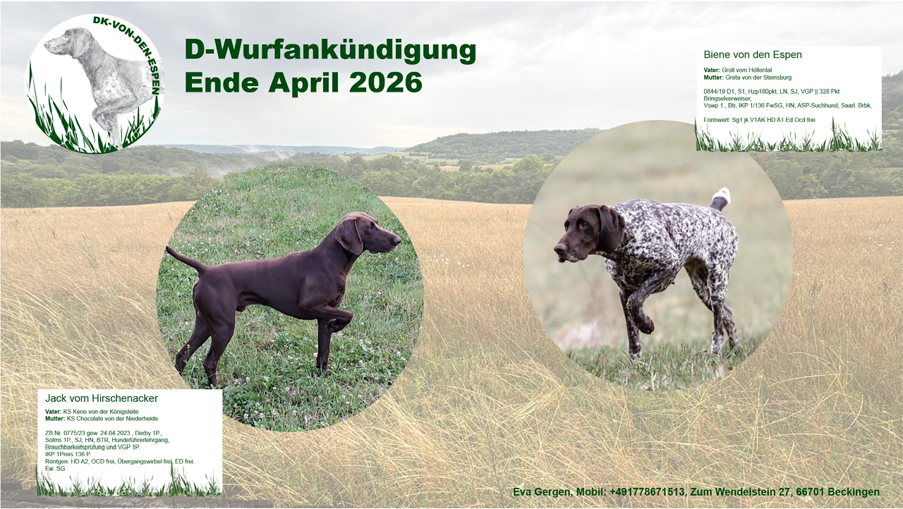 Wurf Biene von den Espen